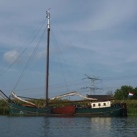 Authentic Ship 